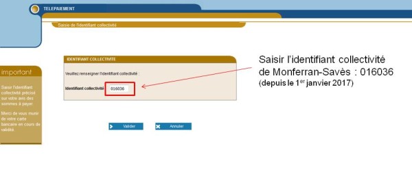 Etape 2 : sur tipi.budget.gouv.fr saisissez l'identifiant 016036