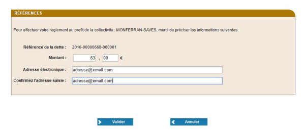 Etape 4 : saisir le montant et votre adresse email